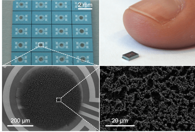 Link to the web site about micro- and nanoscaled systems